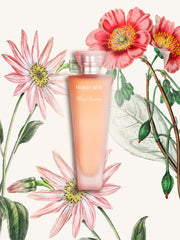 Muse Poudrée — official product image 2