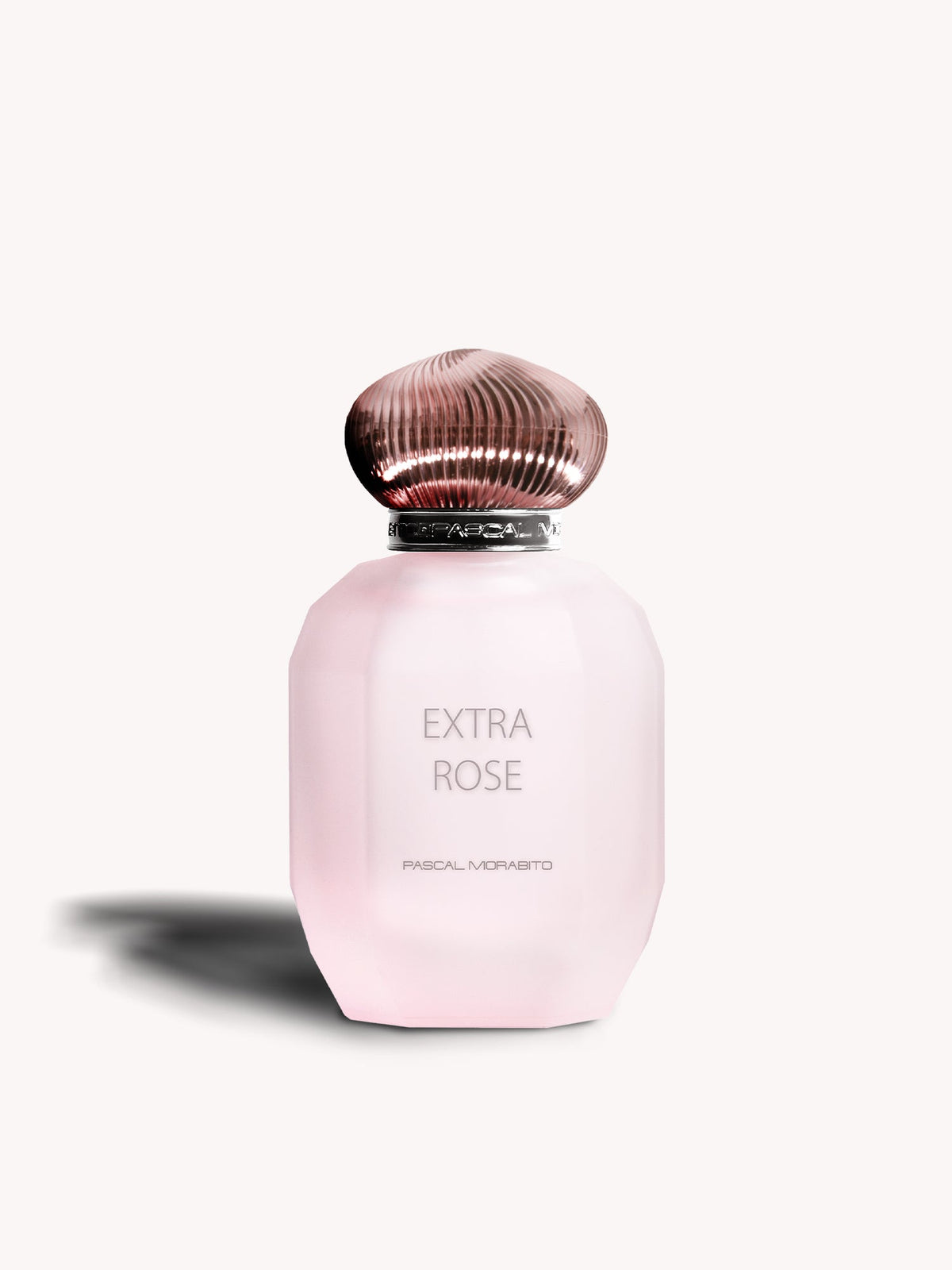 Extra Rose