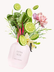 Extra Rose — official product image 2