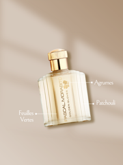 Golden Gloves — official product image 2