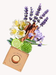 Or Boréal — official product image 2