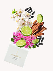 Pure Perle — official product image 2